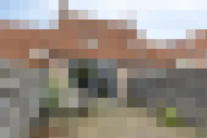 Heveapad 20 Hoogezand thumbnail 20