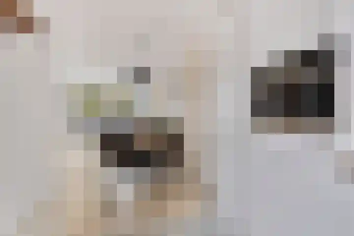 Heveapad 20 Hoogezand thumbnail 6