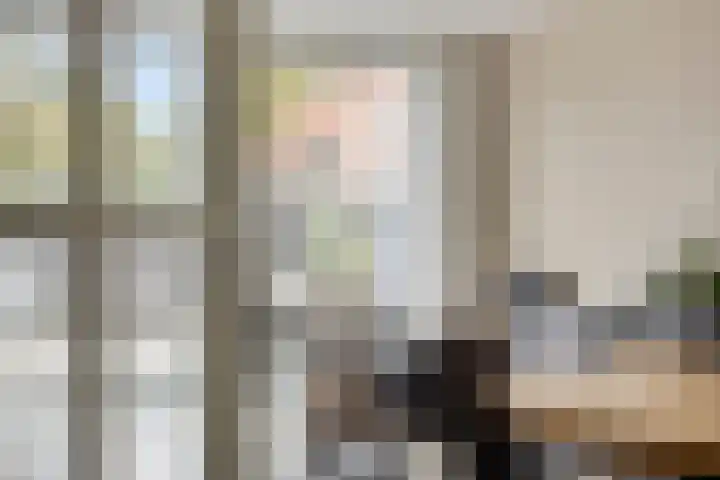 Heveapad 20 Hoogezand thumbnail 7