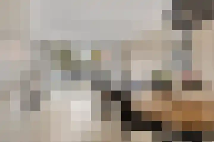 Heveapad 20 Hoogezand thumbnail 8