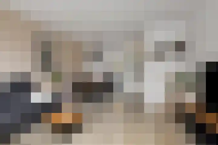 Heveapad 20 Hoogezand thumbnail 9
