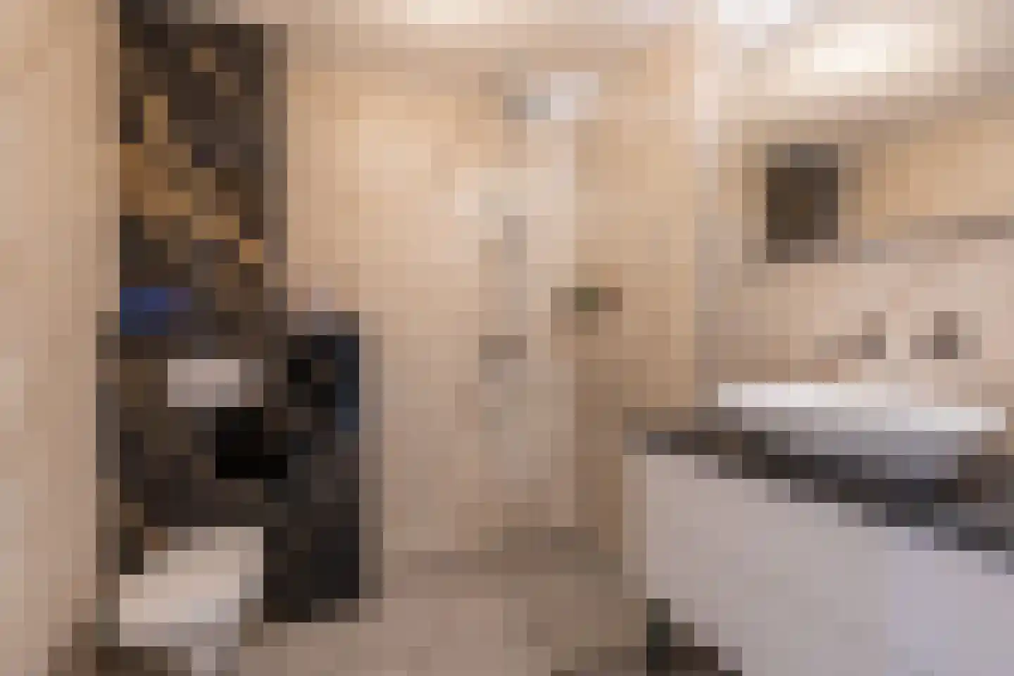 Heveapad 26 Hoogezand thumbnail 21