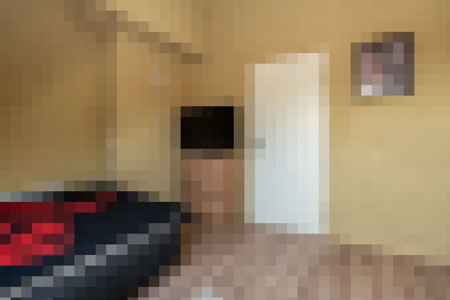 Heveapad 26 Hoogezand thumbnail 25