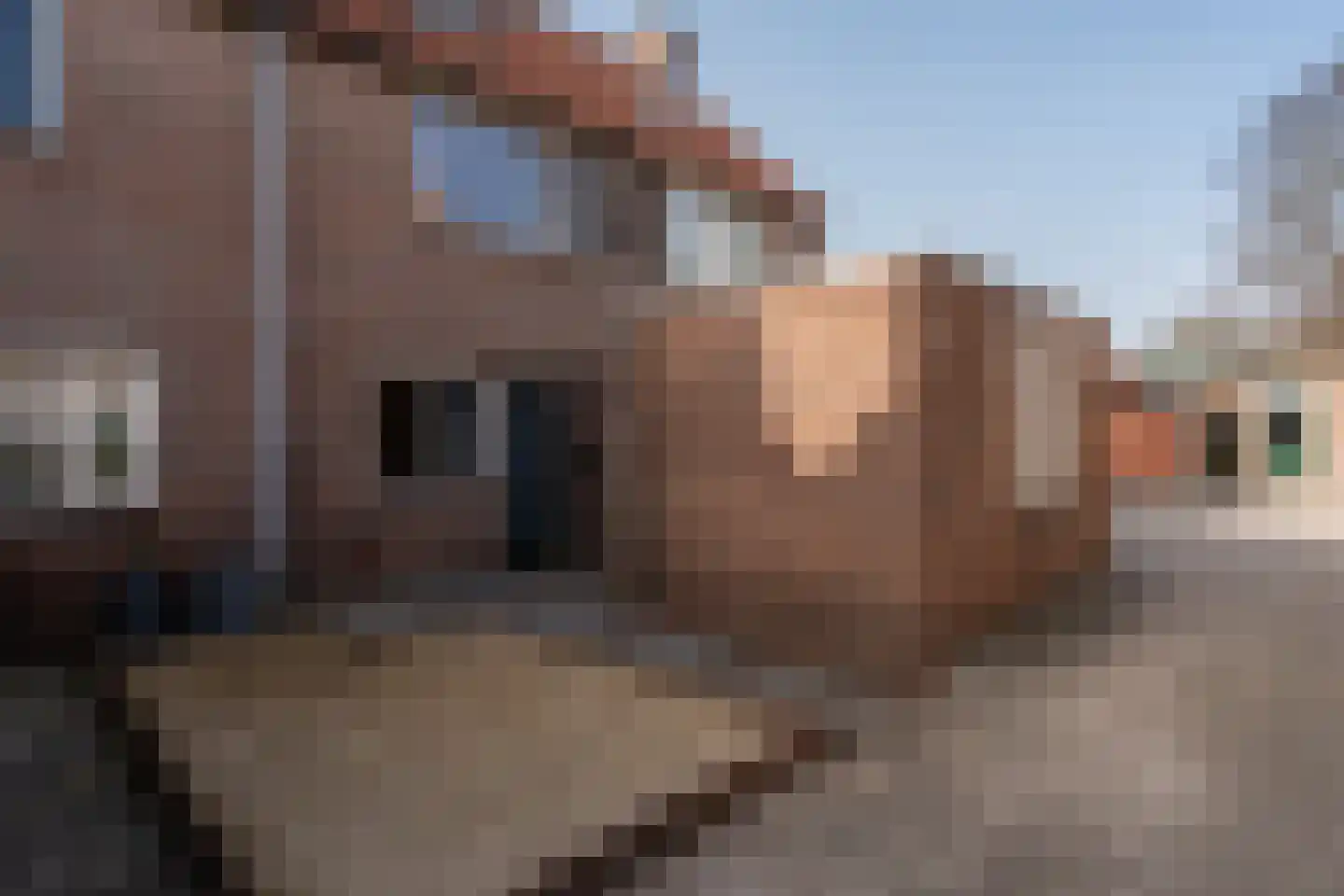 Heveapad 26 Hoogezand thumbnail 30