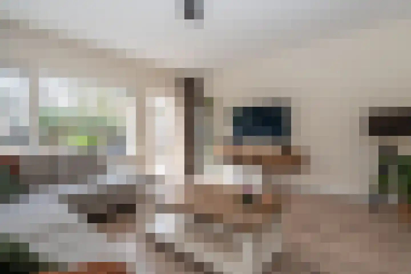 Heveapad 26 Hoogezand thumbnail 6