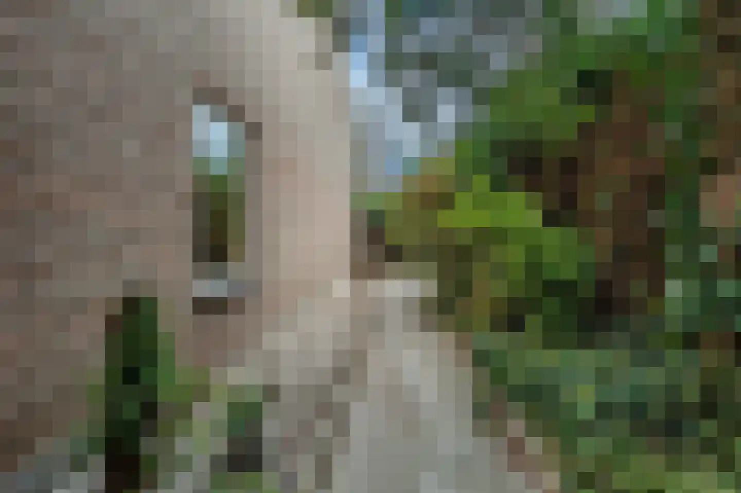 Heveapad 40 Hoogezand thumbnail 25