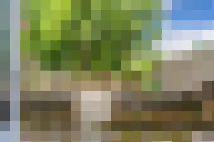 Heveapad 63 Hoogezand thumbnail 4