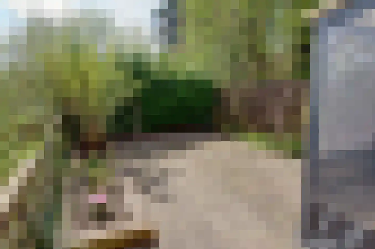 Heveapad 65 Hoogezand thumbnail 9