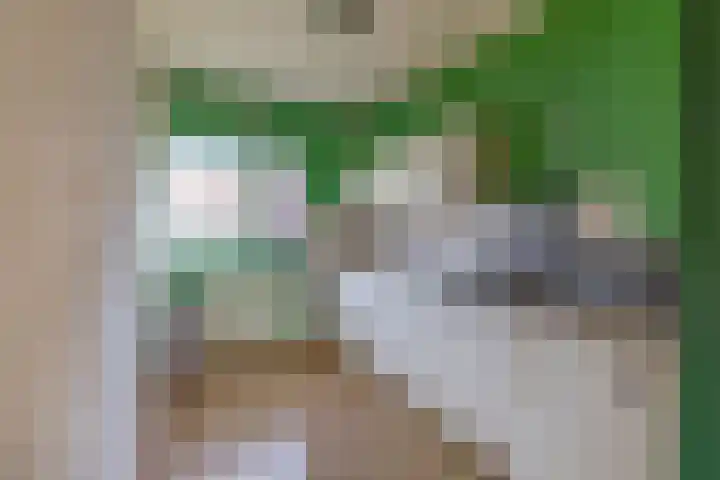 Heveapad 8 Hoogezand thumbnail 17
