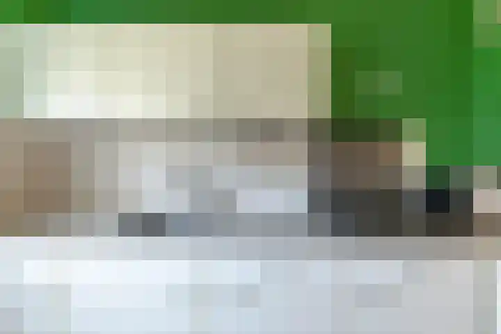 Heveapad 8 Hoogezand thumbnail 18