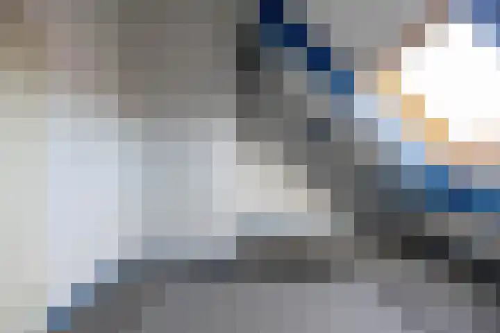 Heveapad 8 Hoogezand thumbnail 30