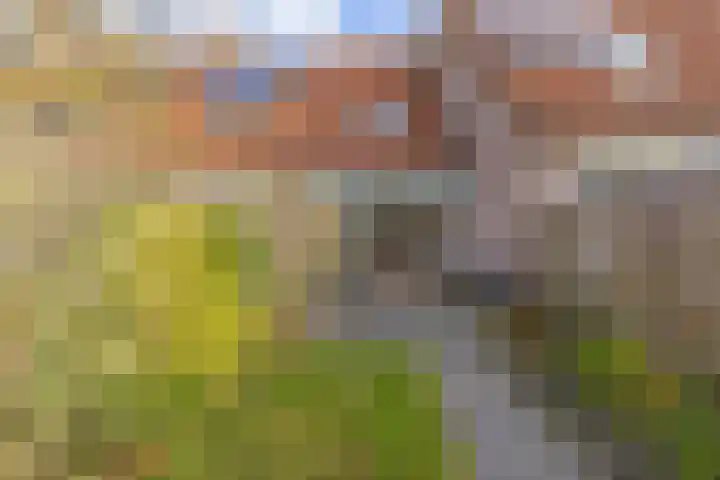 Heveapad 8 Hoogezand thumbnail 31