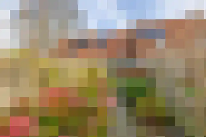 Heveapad 8 Hoogezand thumbnail 32