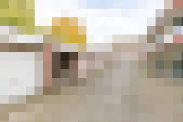 Heveapad 8 Hoogezand thumbnail 35