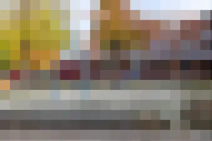 Heveapad 8 Hoogezand thumbnail 37
