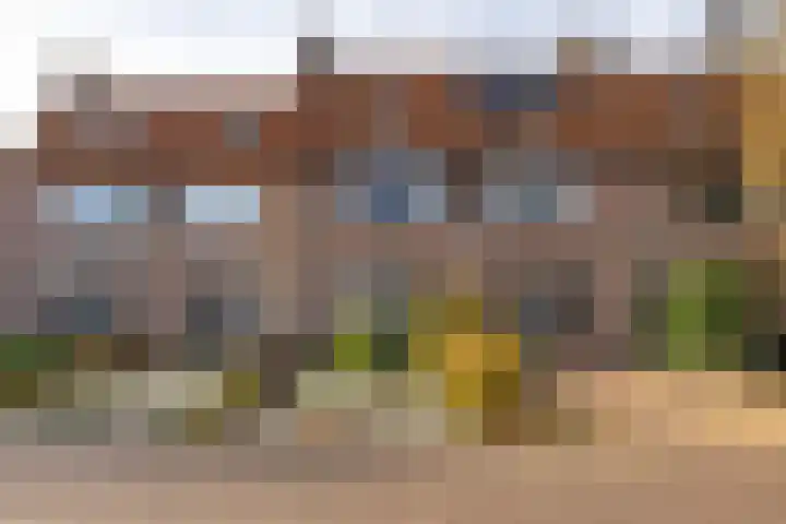 Heveapad 8 Hoogezand thumbnail 4