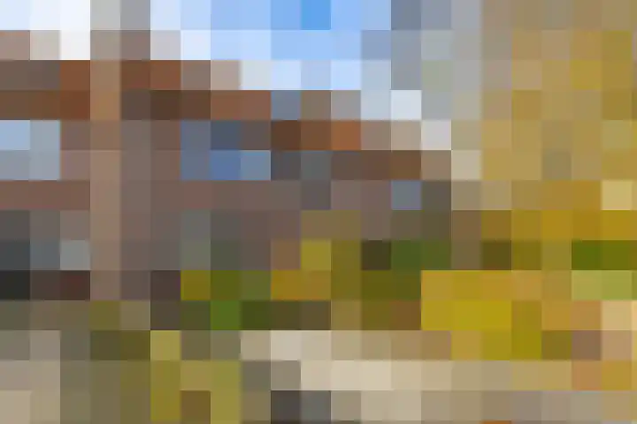 Heveapad 8 Hoogezand thumbnail 5