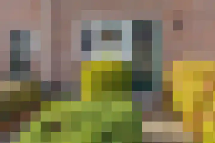 Heveapad 8 Hoogezand thumbnail 6