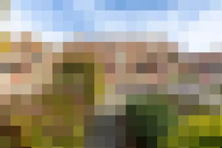 Heveapad 8 Hoogezand thumbnail 7