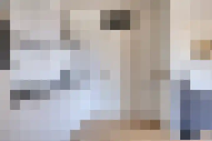 Heveapad 87 Hoogezand thumbnail 10