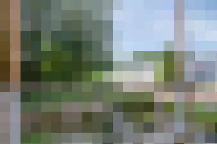Heveapad 87 Hoogezand thumbnail 18
