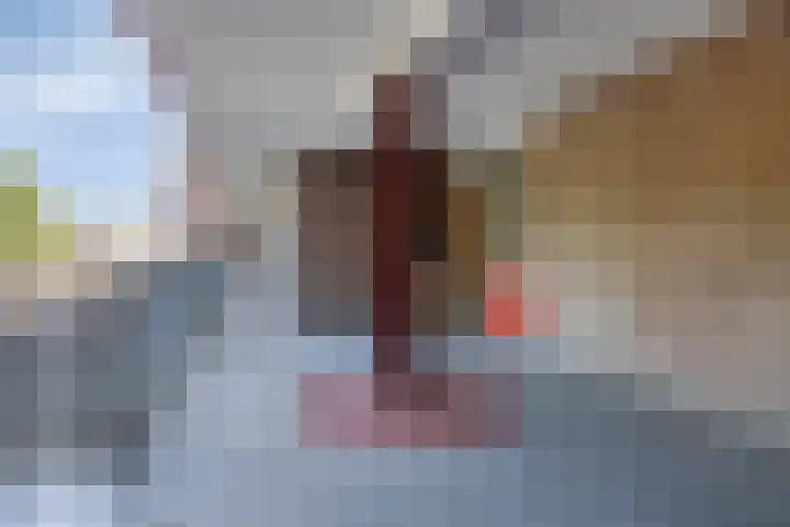 Heveapad 87 Hoogezand thumbnail 22