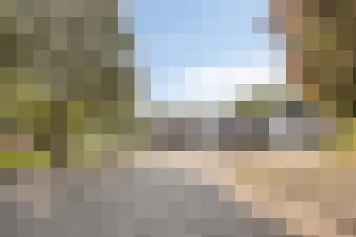 Heveapad 87 Hoogezand thumbnail 29