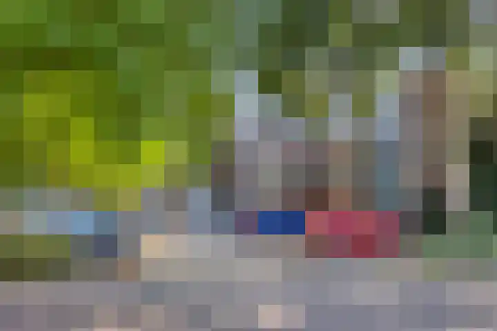 Heveapad 87 Hoogezand thumbnail 30