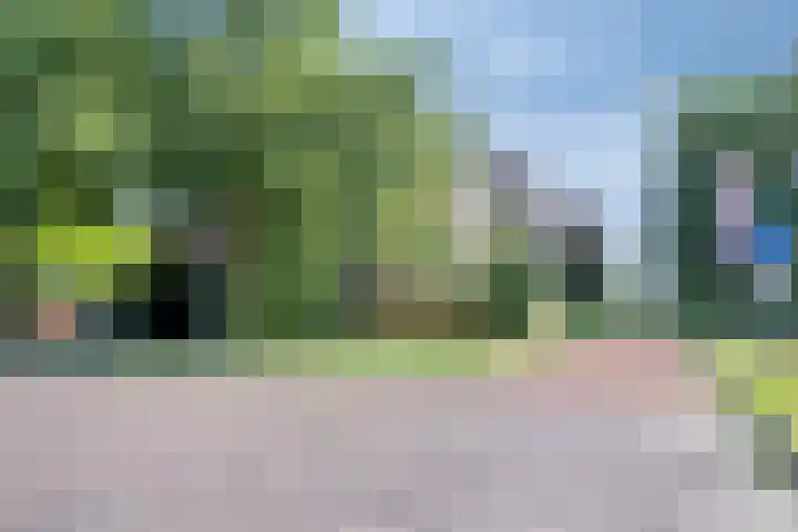Heveapad 87 Hoogezand thumbnail 32