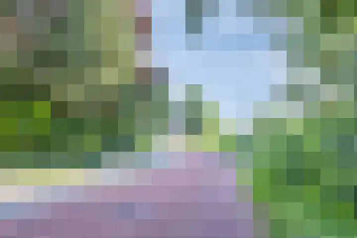 Heveapad 87 Hoogezand thumbnail 34