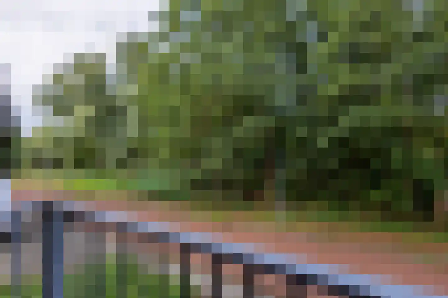 Heveapad 91 Hoogezand thumbnail 22