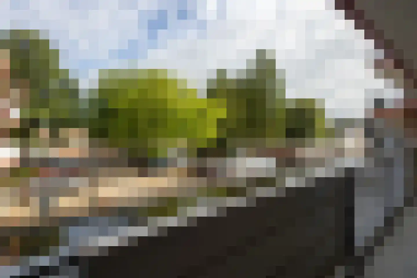 Heveapad 91 Hoogezand thumbnail 23