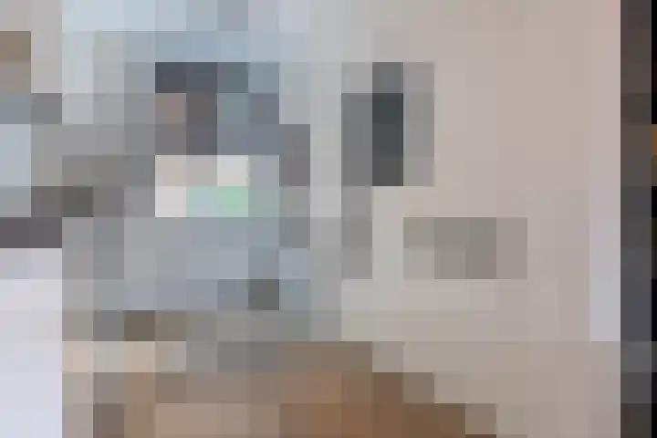 Hevel 27 Heemskerk thumbnail 17