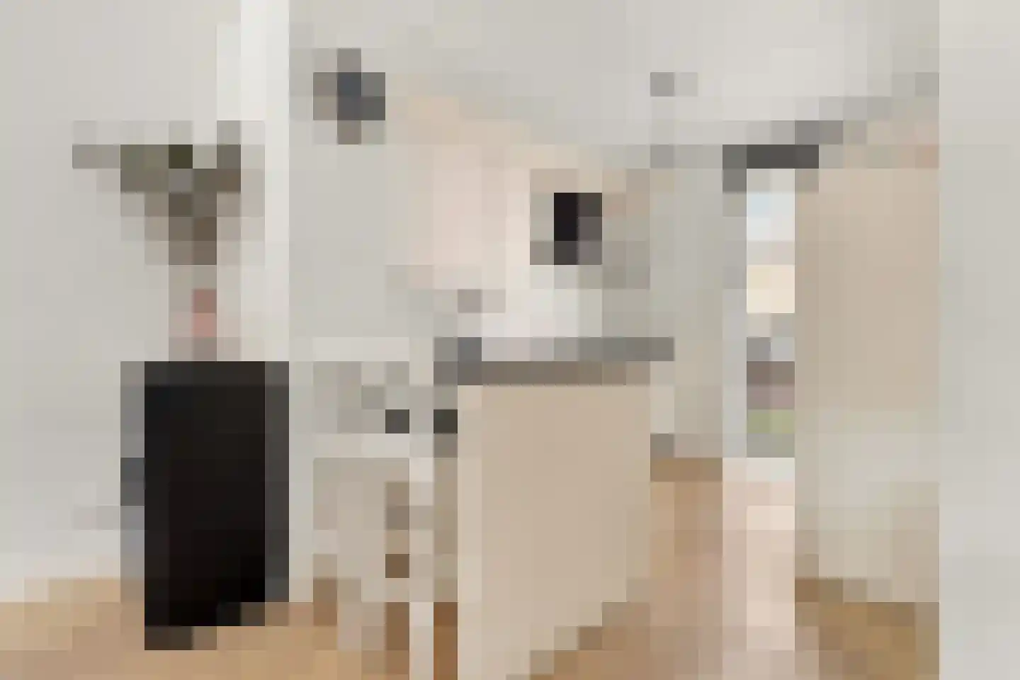 Hevel 9 Heemskerk thumbnail 10