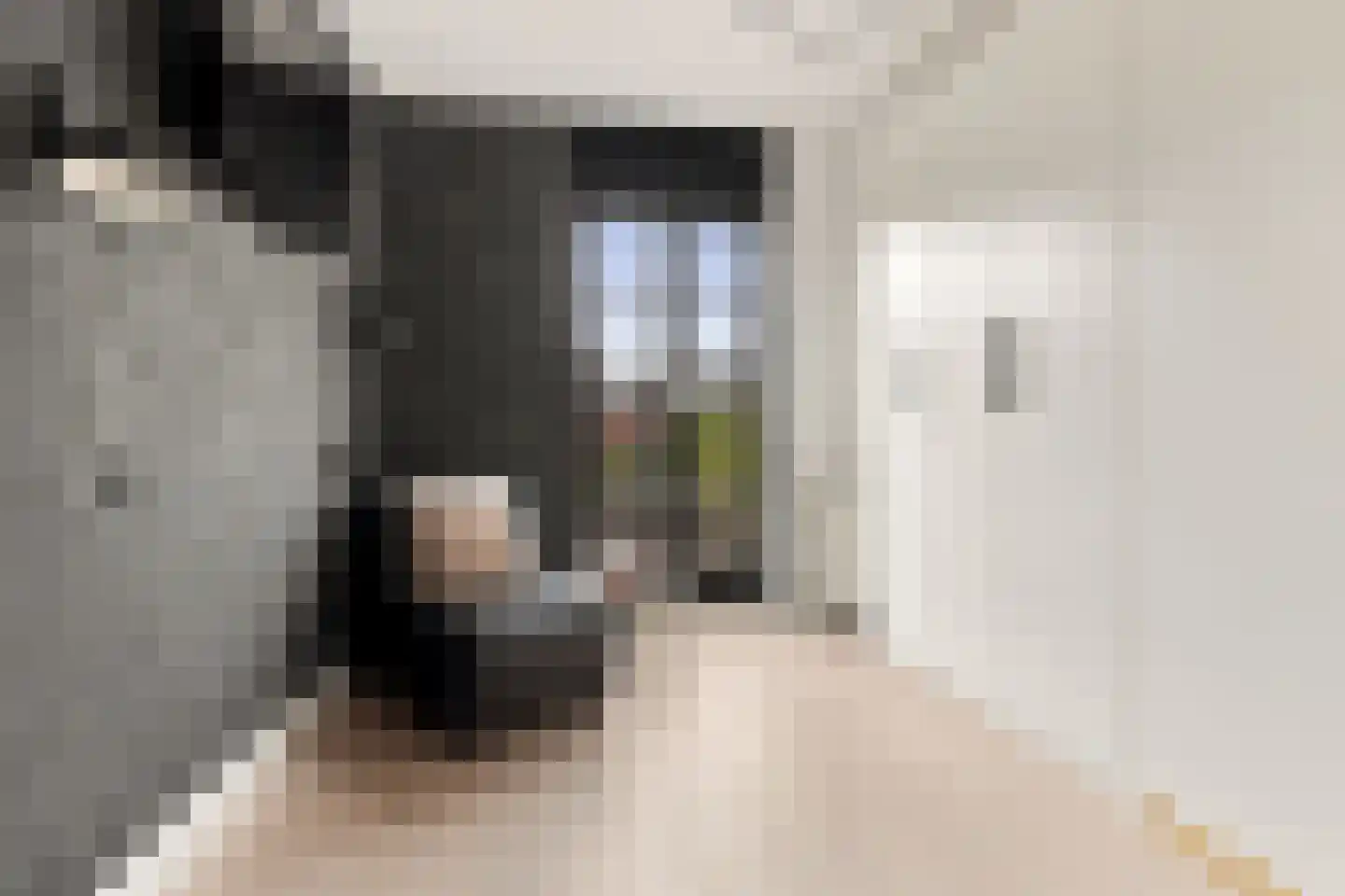 Hevel 9 Heemskerk thumbnail 35