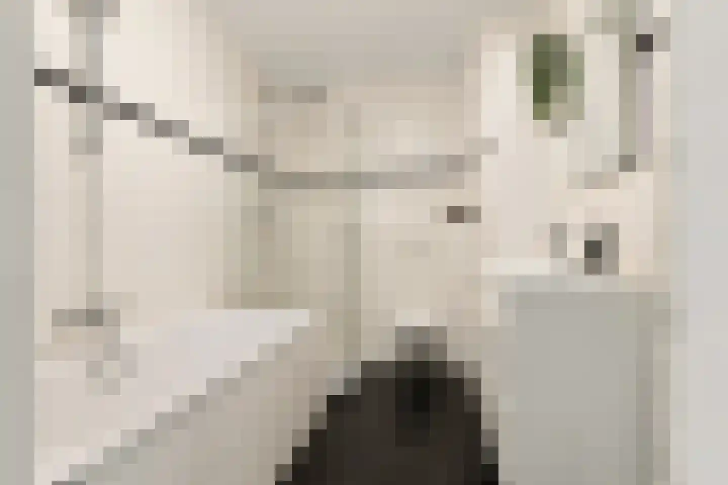 Hevel 9 Heemskerk thumbnail 38
