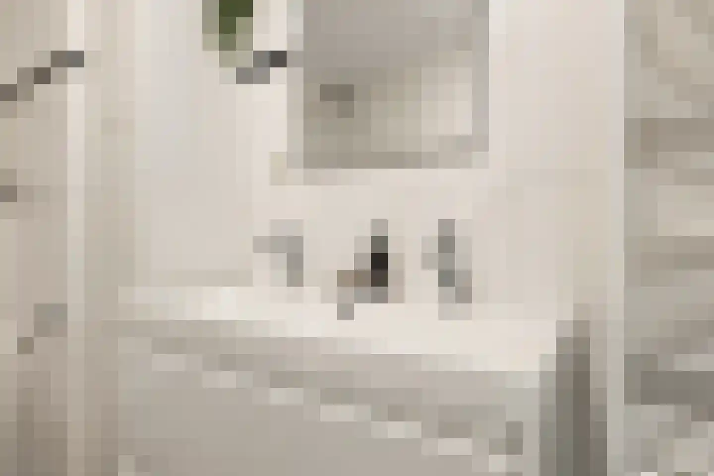 Hevel 9 Heemskerk thumbnail 40