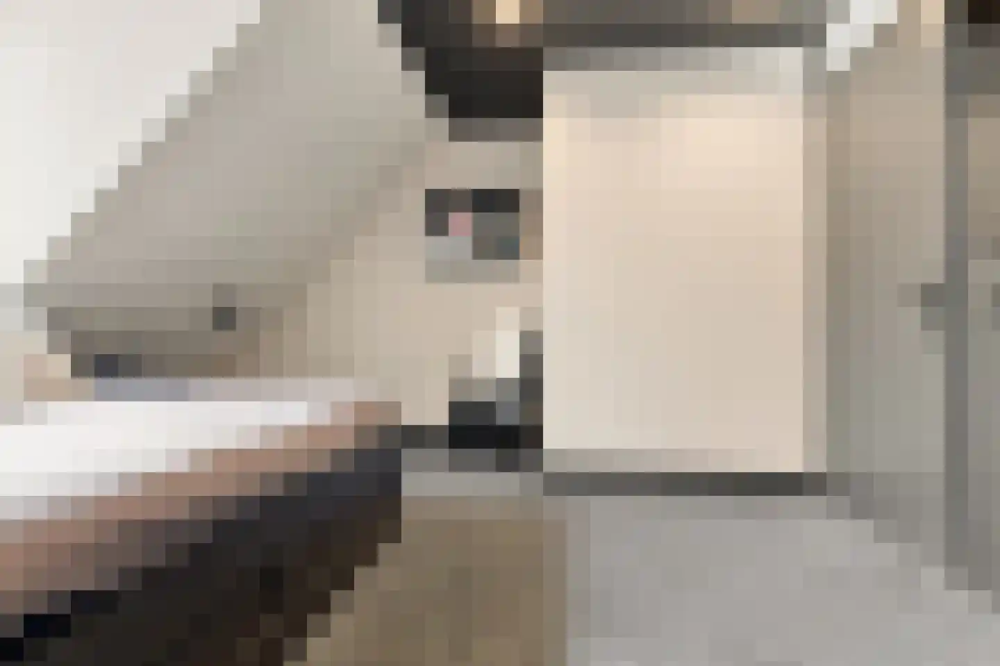 Hevel 9 Heemskerk thumbnail 46