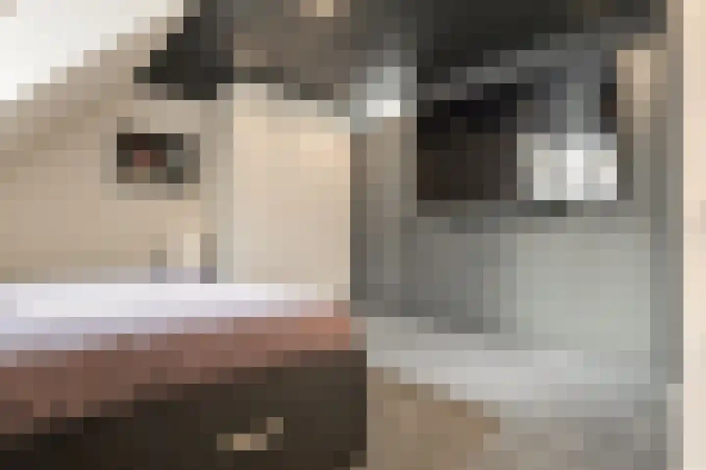Hevel 9 Heemskerk thumbnail 47