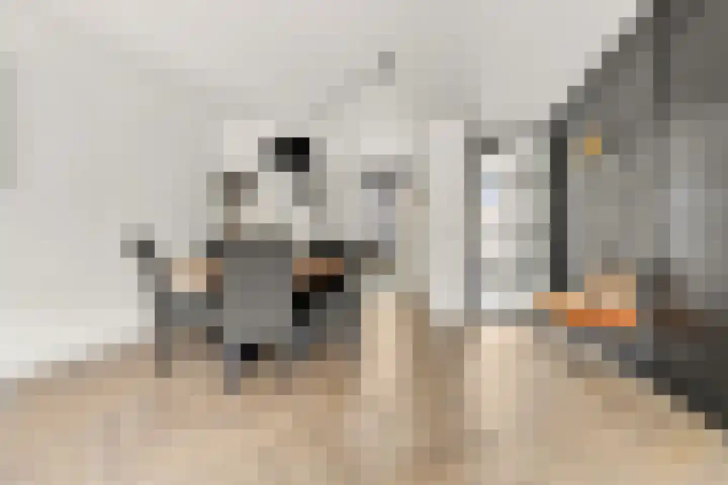 Hevel 9 Heemskerk thumbnail 8