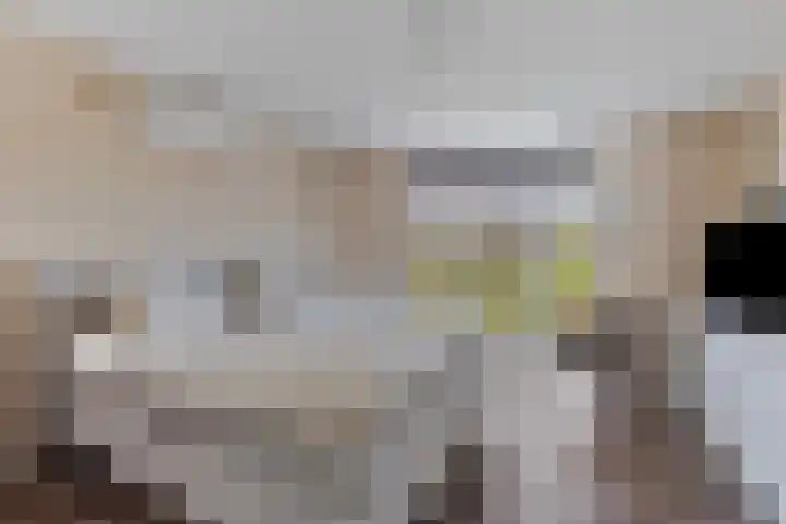 Heveland 3 Bergen op Zoom thumbnail 18