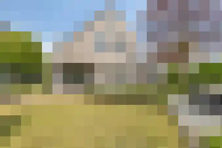 Heveland 3 Bergen op Zoom thumbnail 29