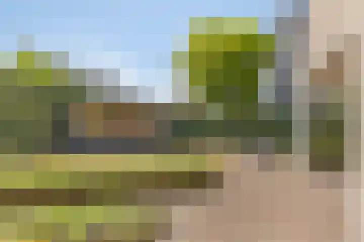 Heveland 3 Bergen op Zoom thumbnail 30