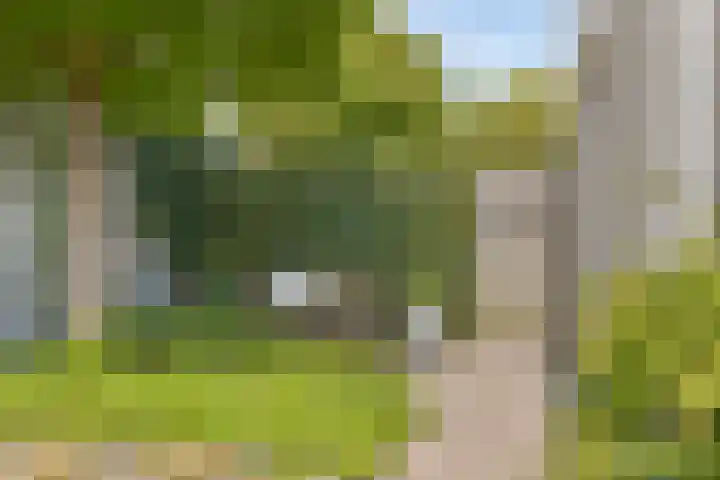 Heveland 3 Bergen op Zoom thumbnail 31