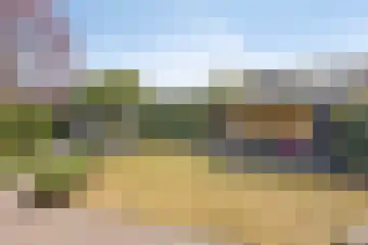 Heveland 3 Bergen op Zoom thumbnail 34