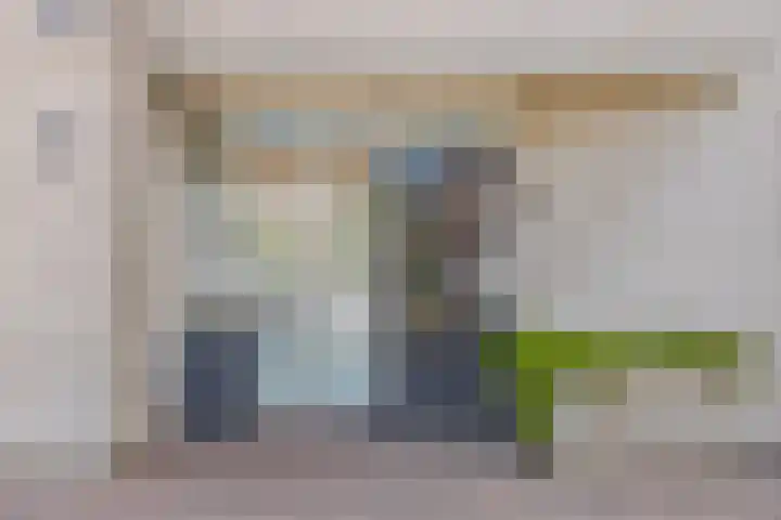 Heveland 3 Bergen op Zoom thumbnail 37