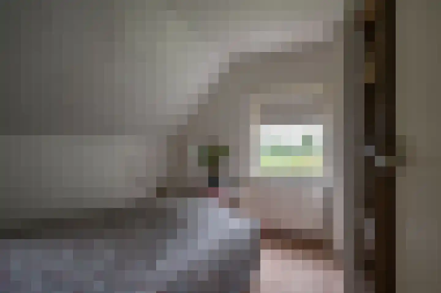 Hevenweg 2 Blokzijl thumbnail 13