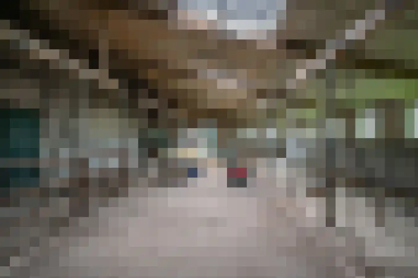 Hevenweg 2 Blokzijl thumbnail 18