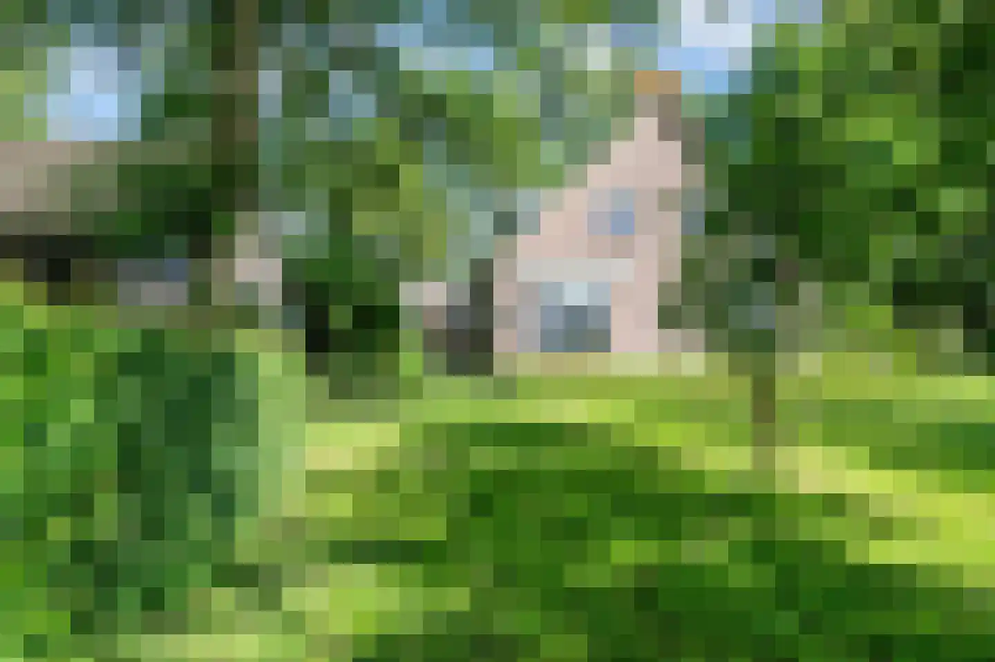 Hevenweg 2 Blokzijl thumbnail 22