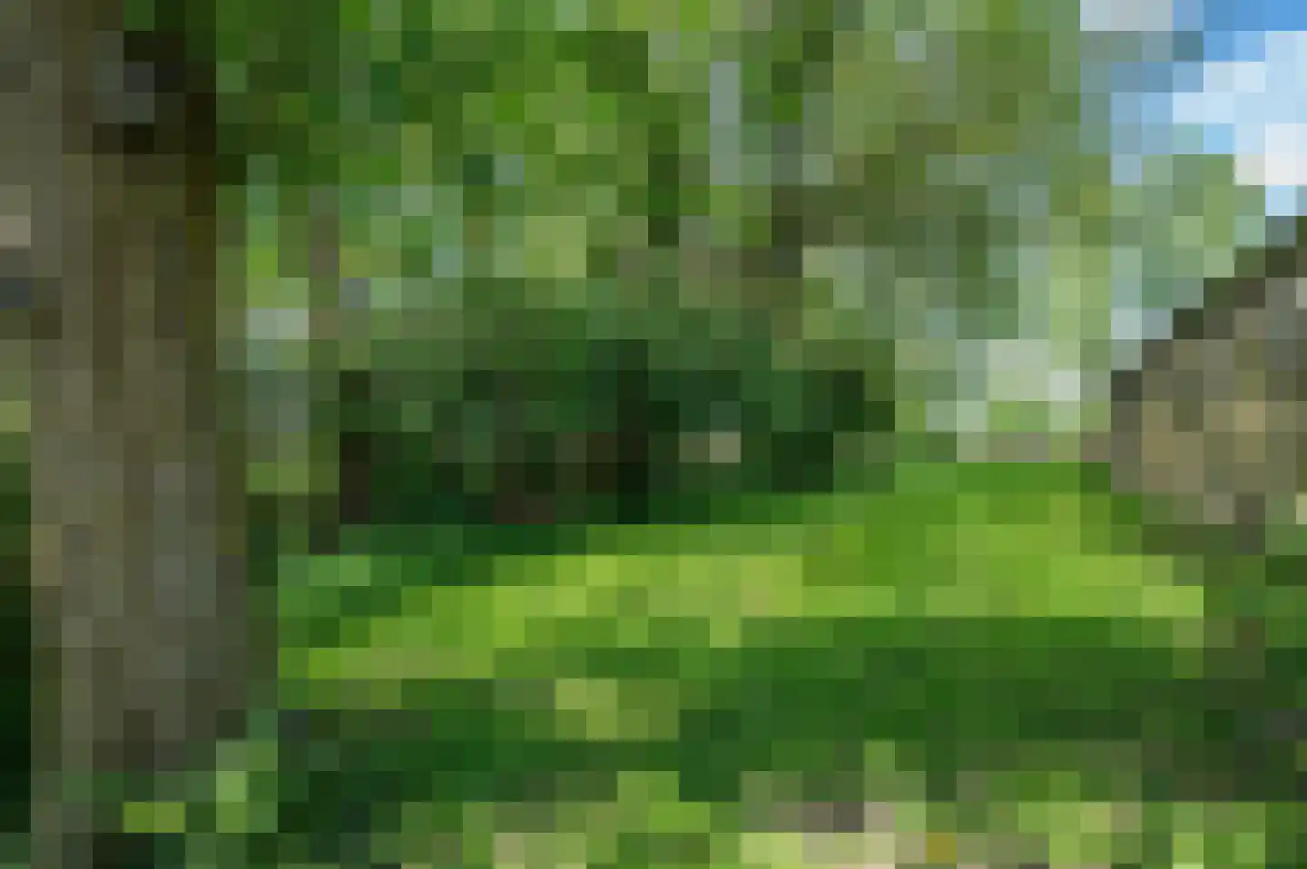 Hevenweg 2 Blokzijl thumbnail 26